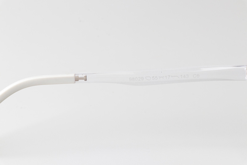 AKM98029 Eyeglasses Transparent