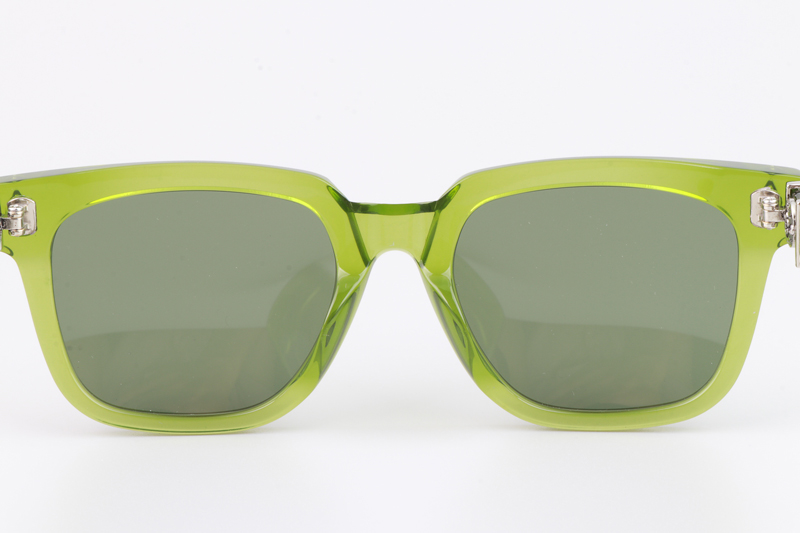 Ambidxtrous Sunglasses Green Gray