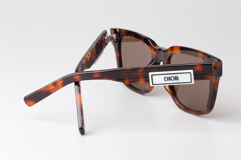 B23S11 Sunglasses Tortoise Brown