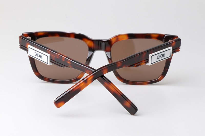 B23S11 Sunglasses Tortoise Brown