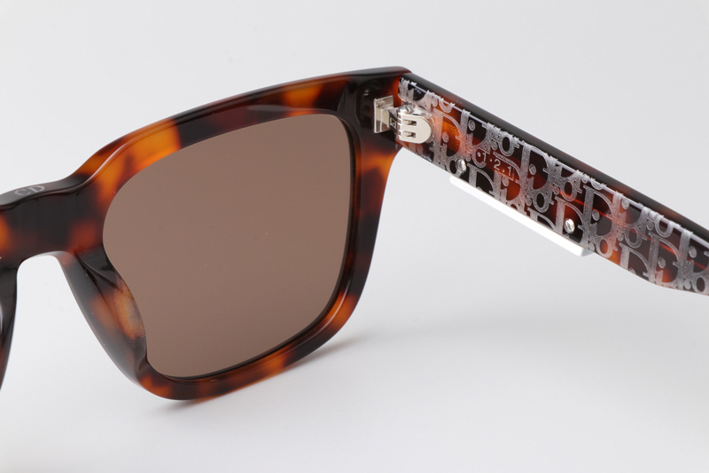 B23S11 Sunglasses Tortoise Brown