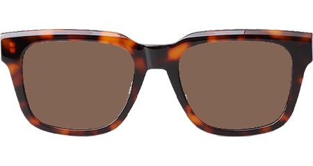 B23S11 Sunglasses Tortoise Brown