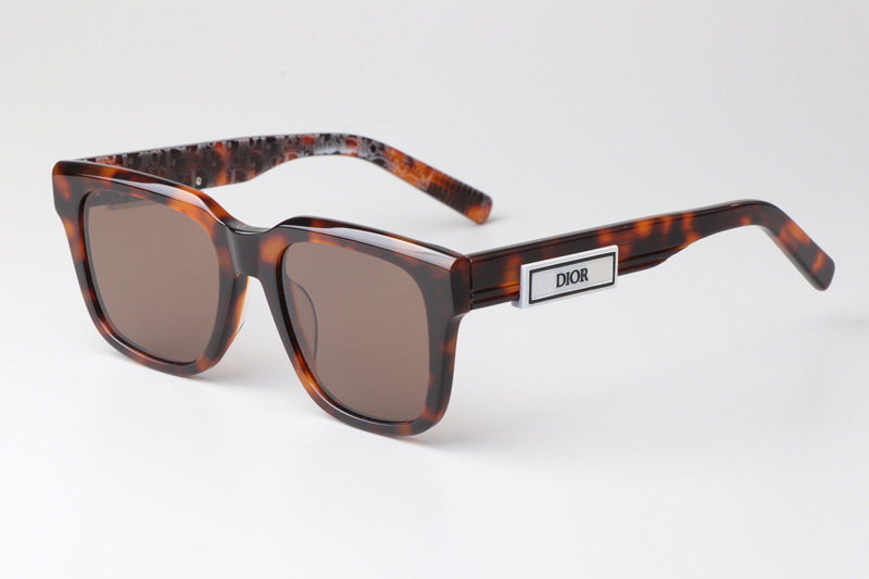 B23S11 Sunglasses Tortoise Brown