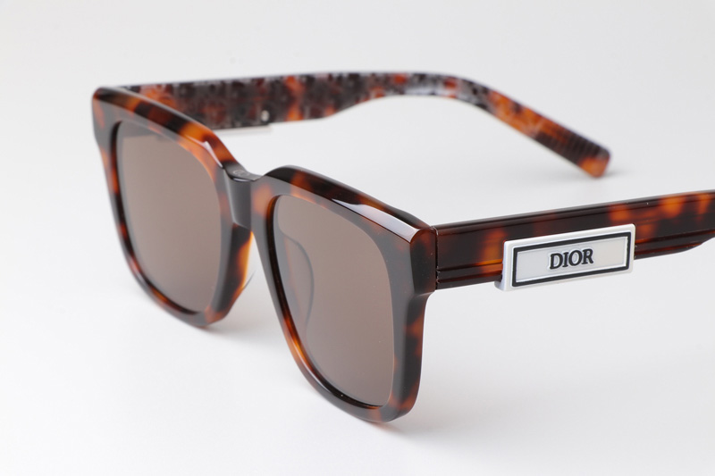 B23S11 Sunglasses Tortoise Brown