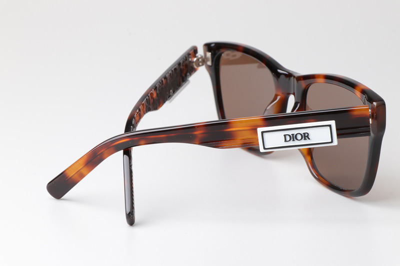 B23S2F Sunglasses Tortoise Brown