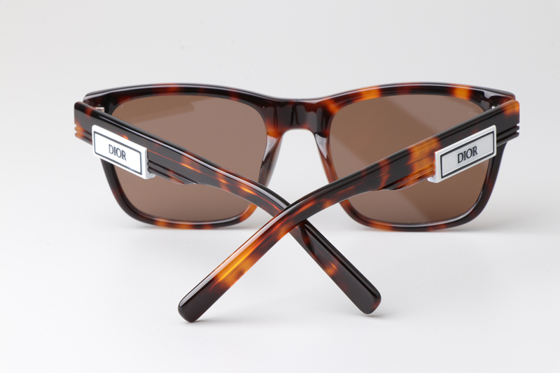 B23S2F Sunglasses Tortoise Brown