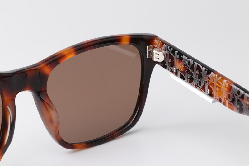 B23S2F Sunglasses Tortoise Brown