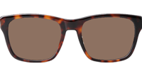 B23S2F Sunglasses Tortoise Brown