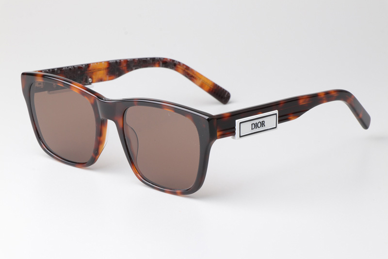 B23S2F Sunglasses Tortoise Brown