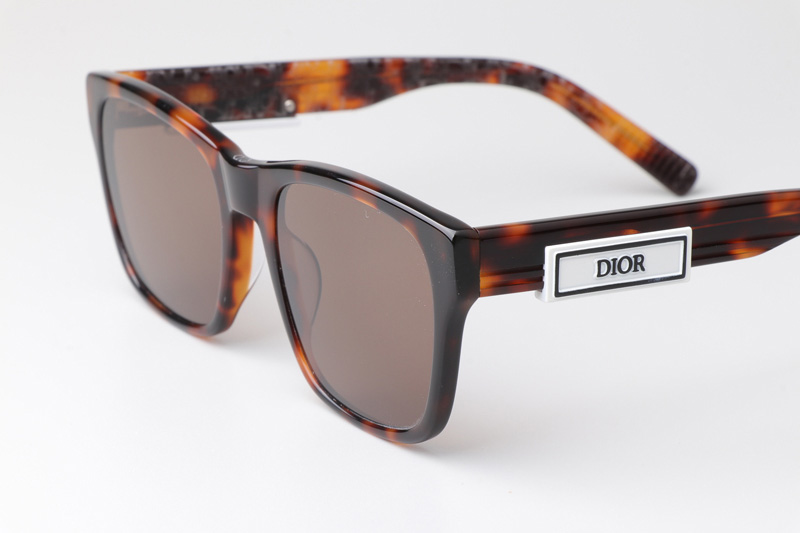 B23S2F Sunglasses Tortoise Brown