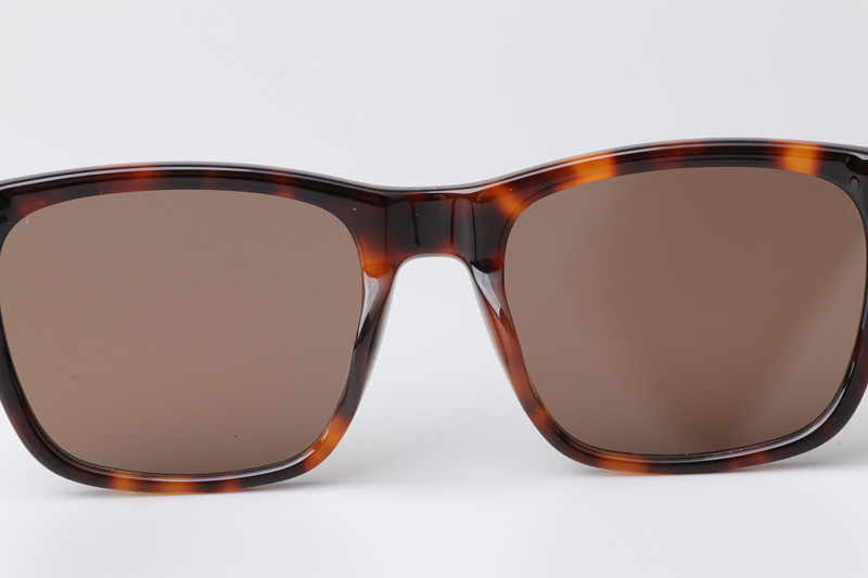 B23S2F Sunglasses Tortoise Brown