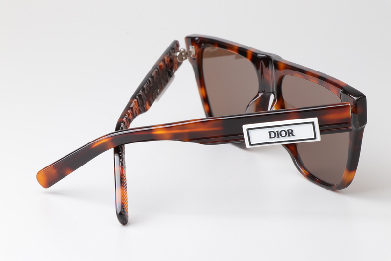 B23S31 Sunglasses Tortoise Brown