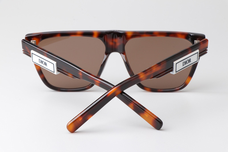 B23S31 Sunglasses Tortoise Brown