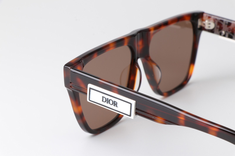 B23S31 Sunglasses Tortoise Brown