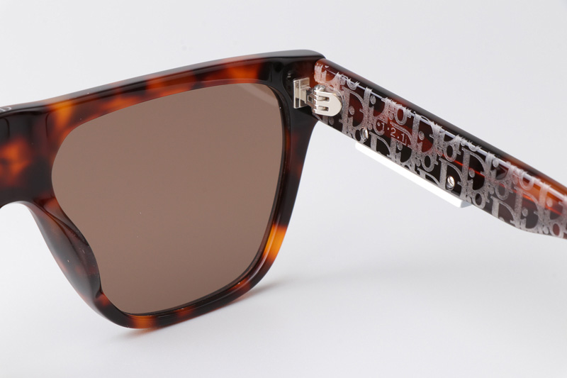 B23S31 Sunglasses Tortoise Brown