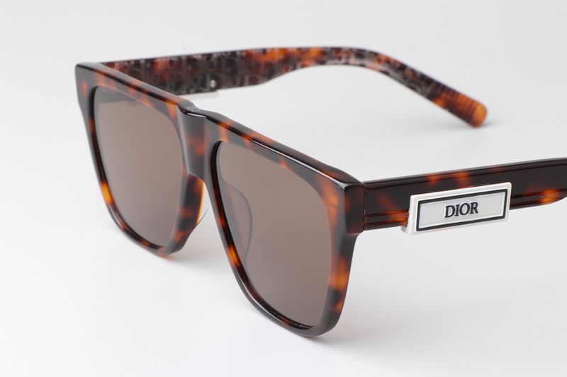 B23S31 Sunglasses Tortoise Brown