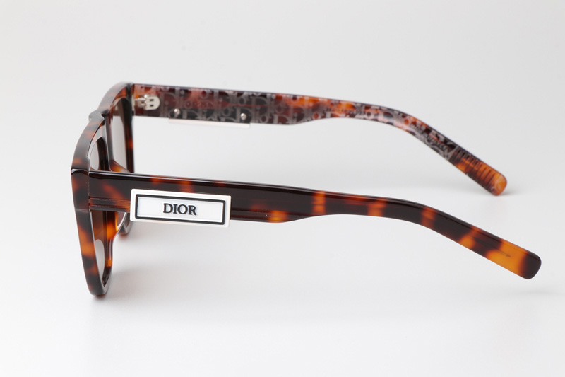 B23S31 Sunglasses Tortoise Brown