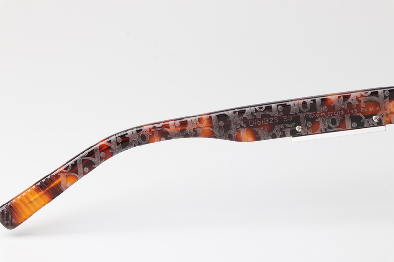 B23S31 Sunglasses Tortoise Brown