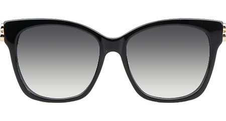 BB0102SA Sunglasses Black Gradient Gray