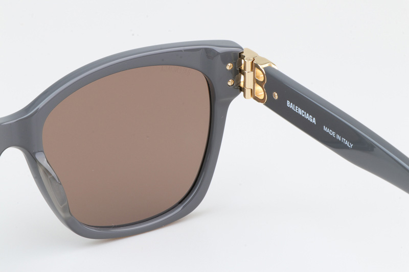 BB0102SA Sunglasses Gray Brown