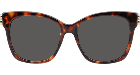 BB0102SA Sunglasses Tortoise Gray