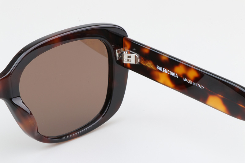 BB0295SK Sunglasses Tortoise Brown