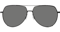 BL8066 Sunglasses Black Gray