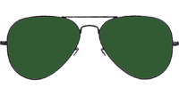 BS3025 Sunglasses Black Green