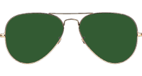 BS3025 Sunglasses Gold Green