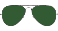 BS3025 Sunglasses Gunmetal Green