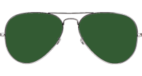 BS3025 Sunglasses Polarized Silver Green