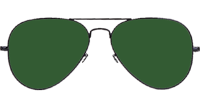 BS3026 Sunglasses Polarized Black Green