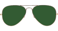 BS3026 Sunglasses Polarized Gold Green