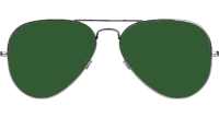 BS3026 Sunglasses Polarized Gunmetal Green