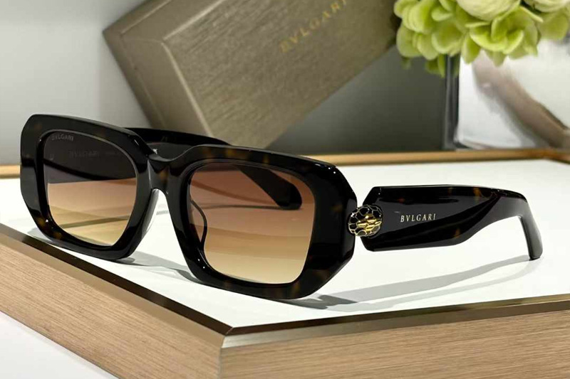 BV40067 Sunglasses Tortoise Gradient Brown