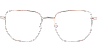 CH1927 Eyeglasses C6 Rose Gold