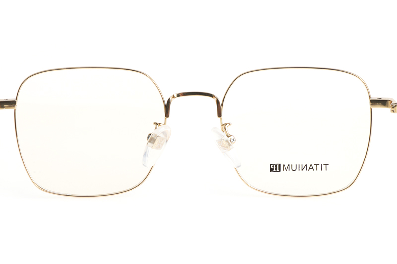 CH2037 Eyeglasses Black Gold