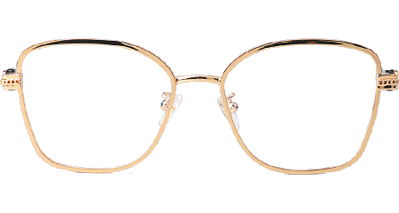CH2212 Eyeglasses Gold Tortoise