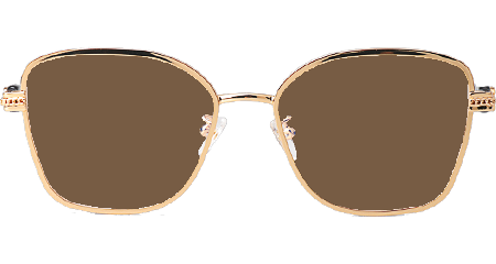 CH2212 Sunglasses Gold Tortoise Brown