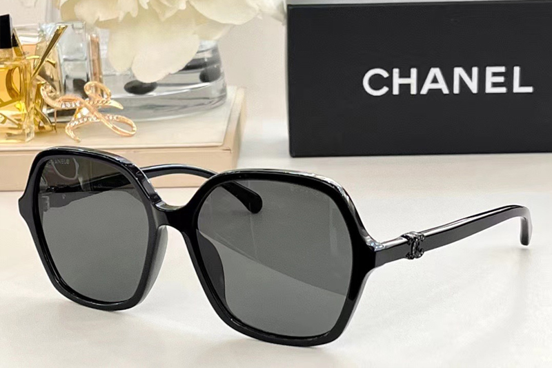 CH3421 Sunglasses In Black