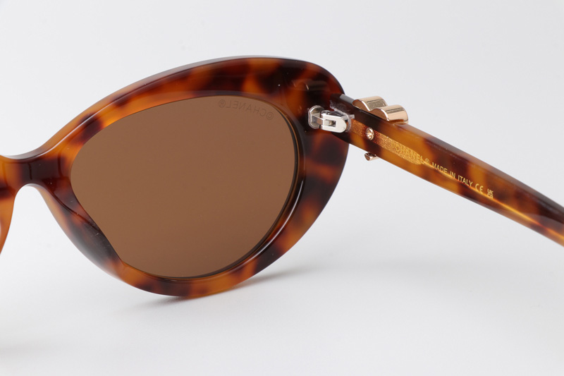 CH3466 Sunglasses Tortoise Brown