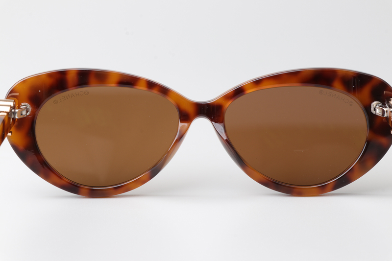 CH3466 Sunglasses Tortoise Brown