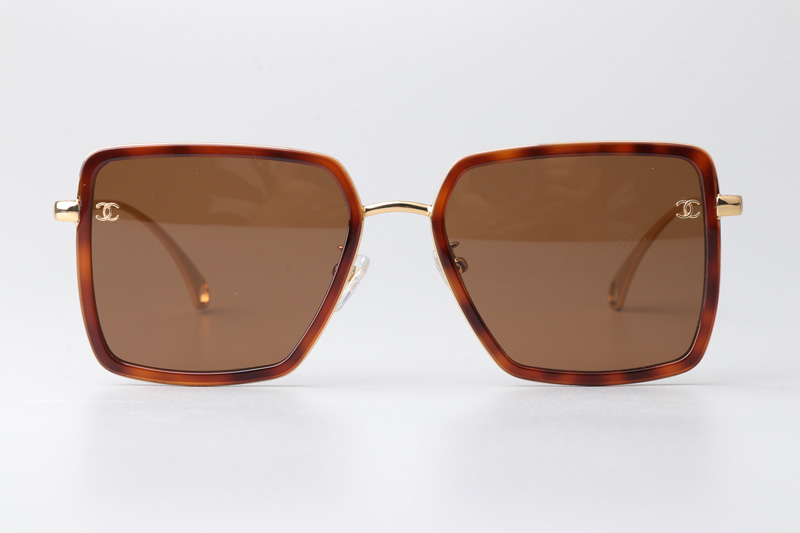 CH3489 Sunglasses Tortoise Gold Brown