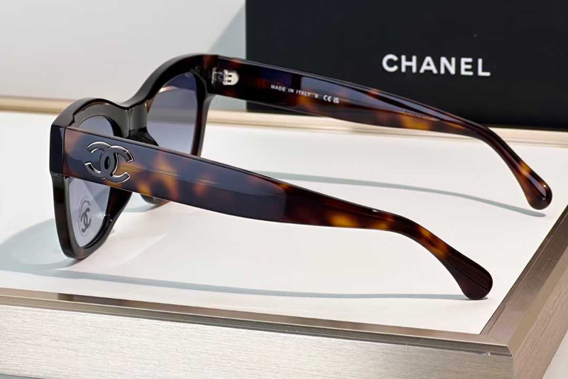 CH3498 Sunglasses Tortoise Gradient Blue