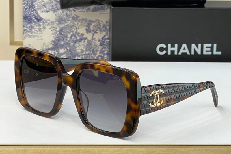 CH5080 Sunglasses In Tortoise