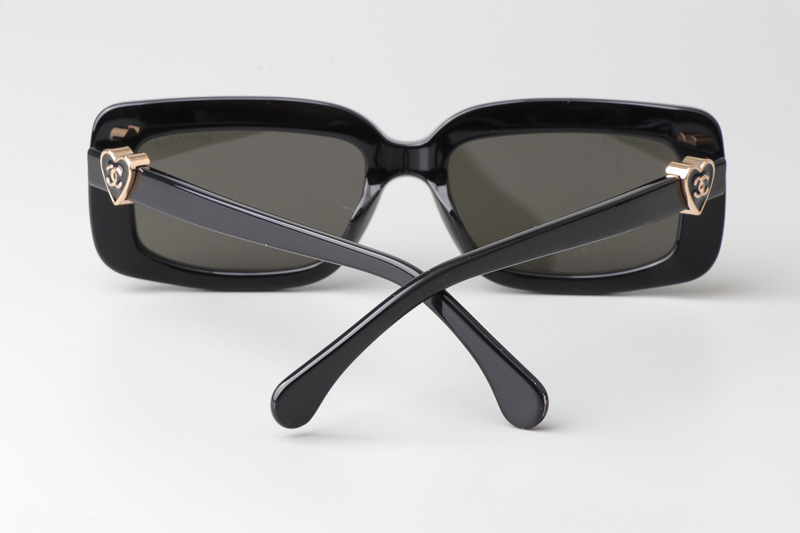 CH5220 Sunglasses Black Gray