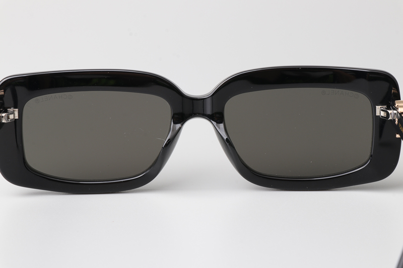CH5220 Sunglasses Black Gray