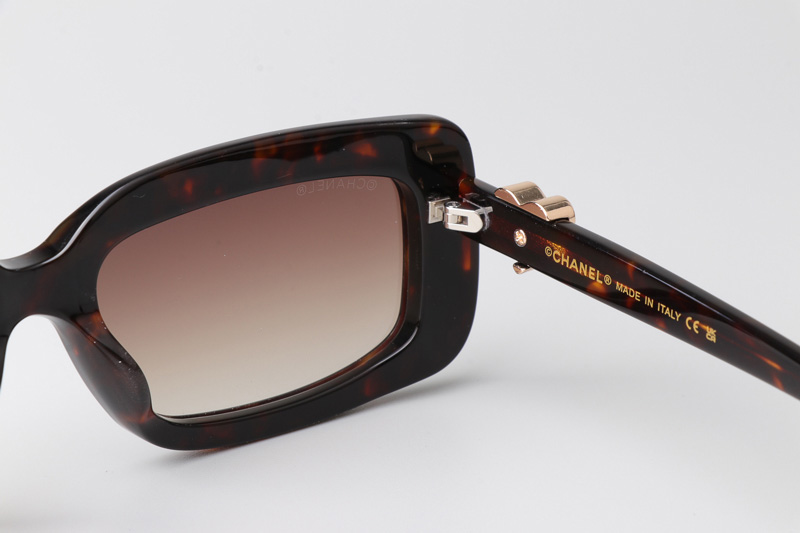 CH5220 Sunglasses Tortoise Gradient Brown