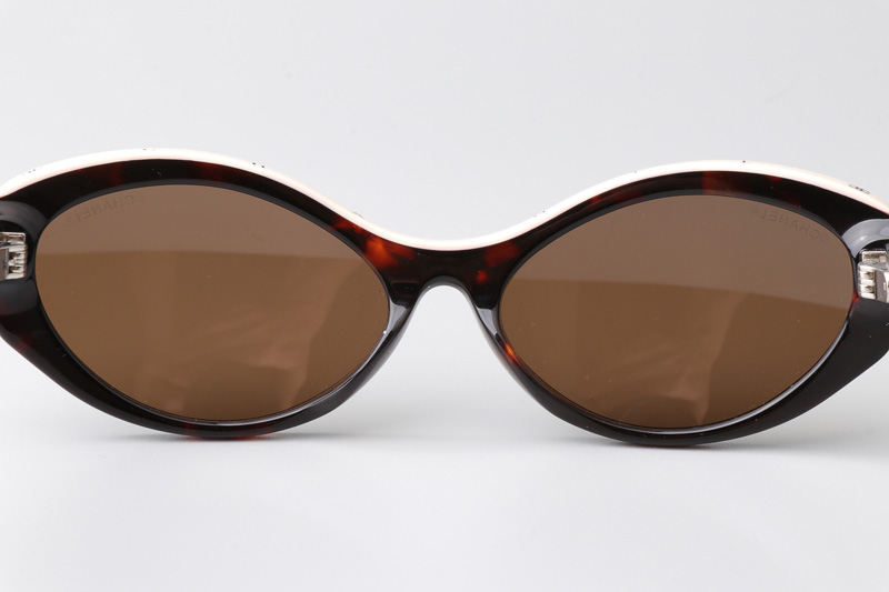 CH5416 Sunglasses Tortoise White Brown