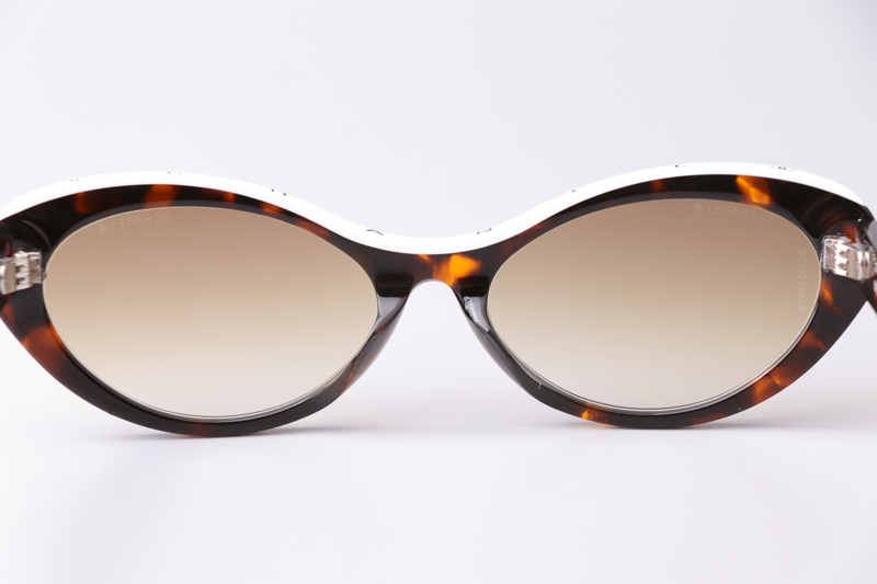 CH5416 Sunglasses Tortoise White Gradient Brown